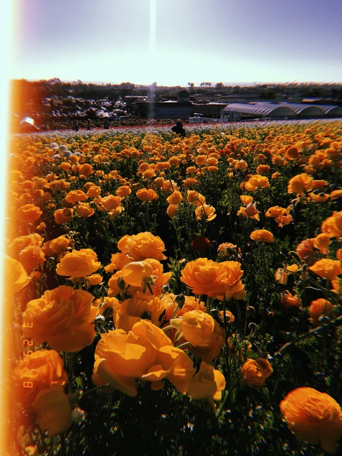 𝓭𝓮𝓮 @lovelyd cover picture