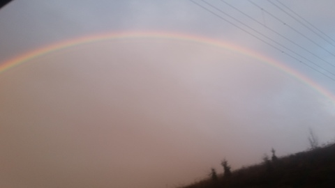 Mist @lovex3 cover picture