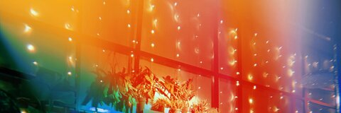 lucy marshall @luccymarshall cover picture