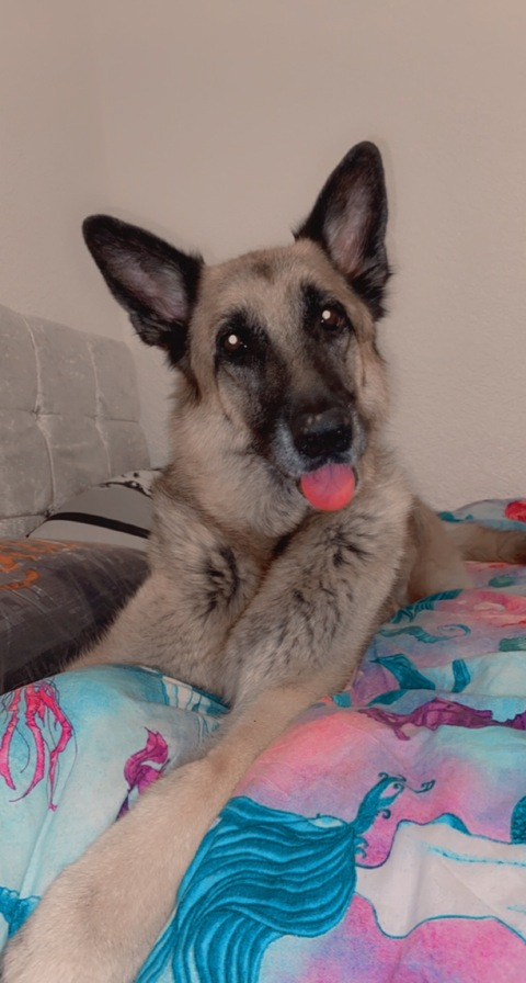 Lucinda Lauren @lucindalauren02 cover picture