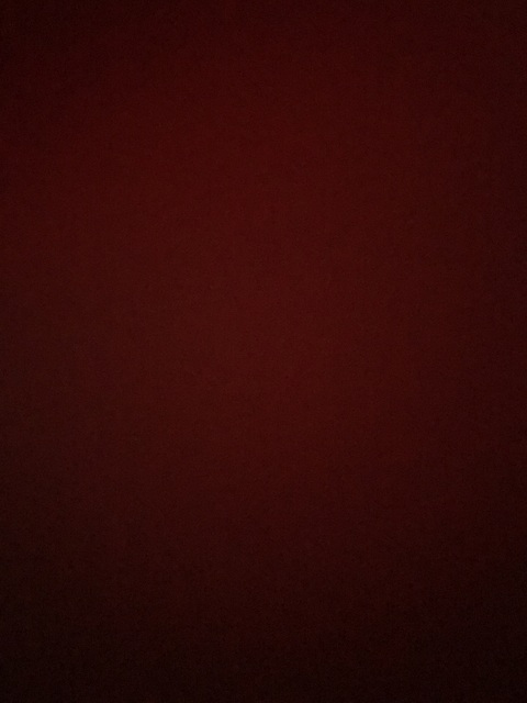 Lucrecia @lucre cover picture