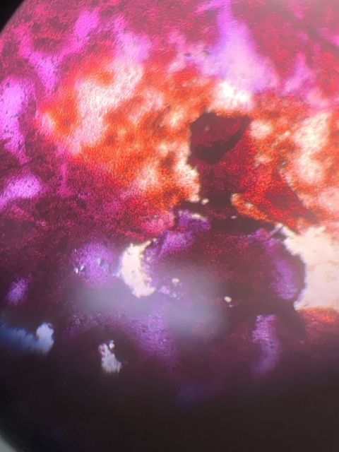 Lucy @lucygarcia66 cover picture