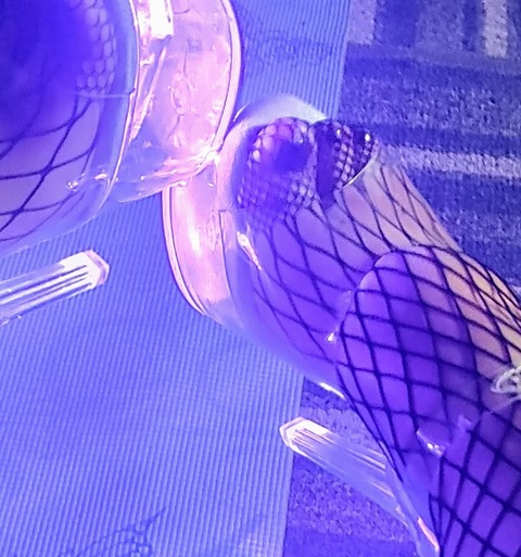 LucyMay @lucymayj cover picture