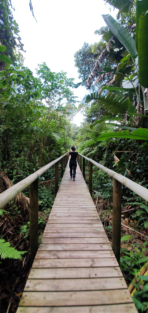 LUFAVINGT @lufavingt cover picture