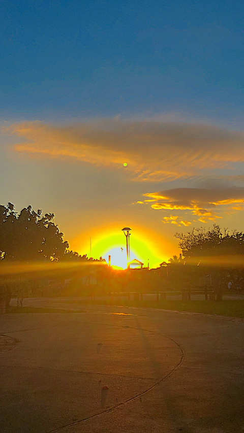 Luga.ly @luga.ly cover picture