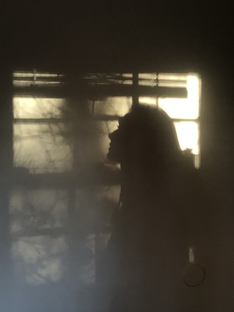 Lula @lulababy cover picture