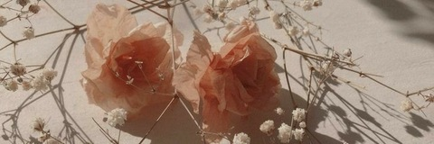 Luna @luna_114 cover picture