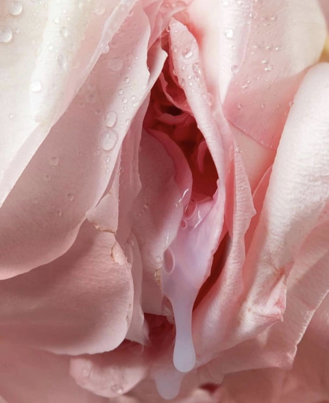 Luna @lunabbyygirl cover picture