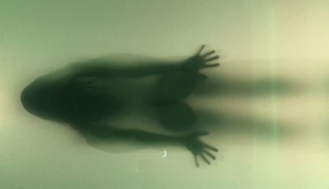 LUNA🦂 @lunaenescorpio4 cover picture