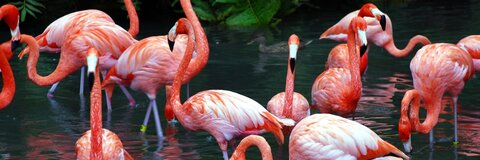 Wendy's 🌸 @lunalya cover picture