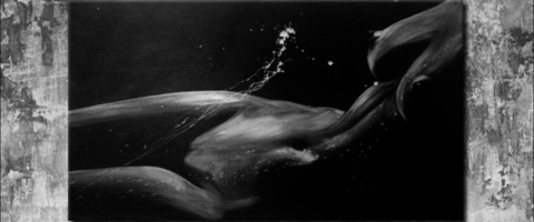 Lu @lunnnaaa cover picture