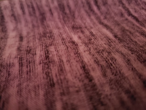 Bear @luvbear6 cover picture