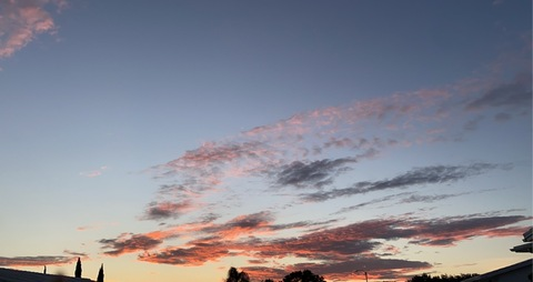 Lexis🦋 @luvbug98 cover picture