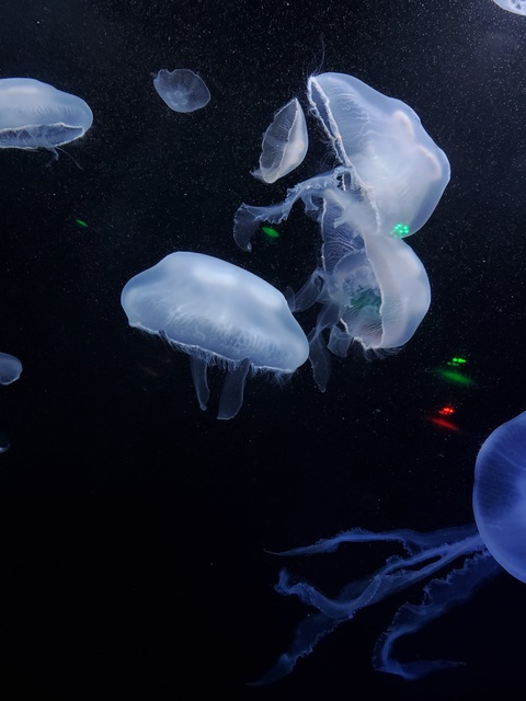 luvsickgirly @luvsickgirly cover picture