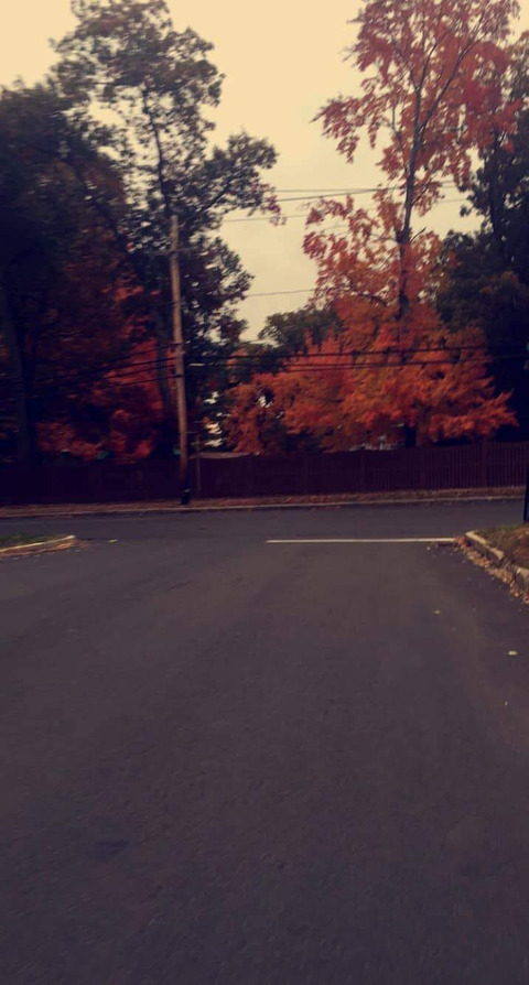 Luxarin @luxarin cover picture