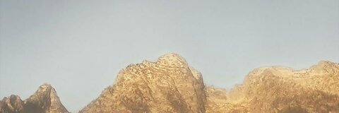 Lynn @lynnx cover picture