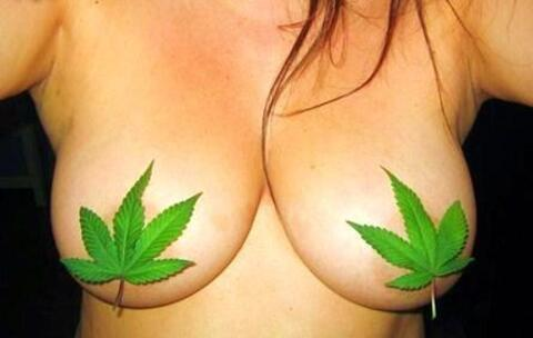 Lyss @lysskissxoxo cover picture