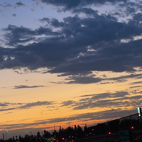 Lyza😈 @lyzax420 cover picture