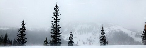 Maceeo @maceeoverstreet cover picture