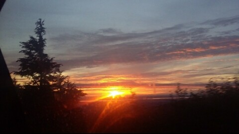 Maddie @maddierose98 cover picture