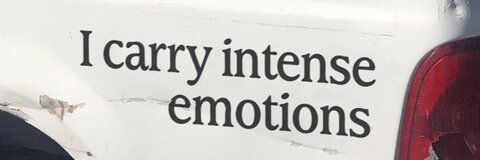 dino @madelinercarter cover picture