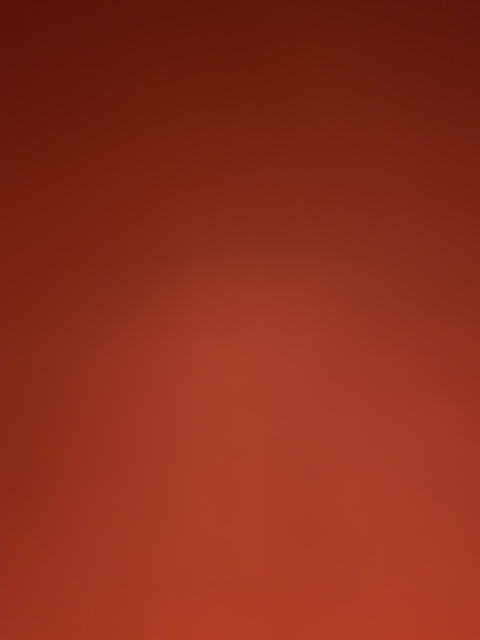 Madelynn @madelynn.b cover picture