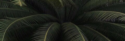 Madison @madi6 cover picture