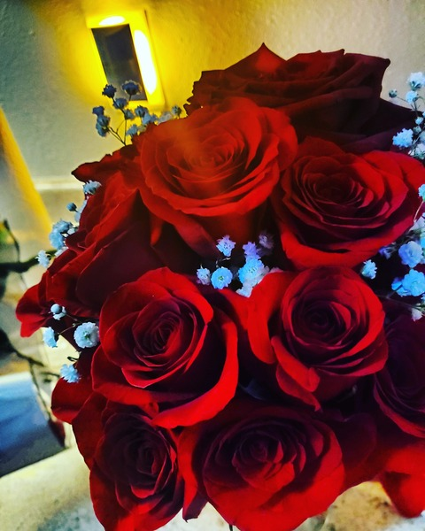 Donnie D @madrooster69 cover picture