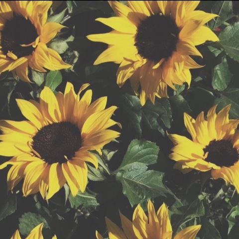 mads @madsxoxox cover picture