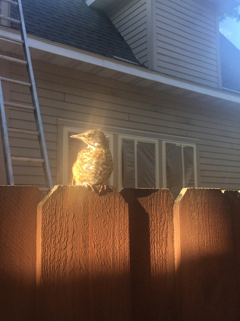 maeday @mae.day cover picture