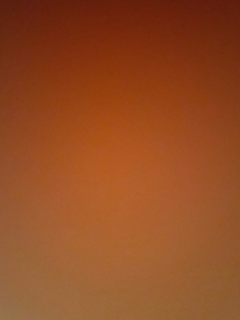 Maegan @maegan cover picture