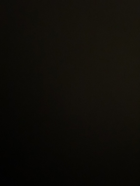 Maeve Tomalty @maevetomalty cover picture