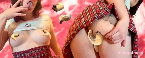 Maggot 🥩 @maggotmeat cover picture