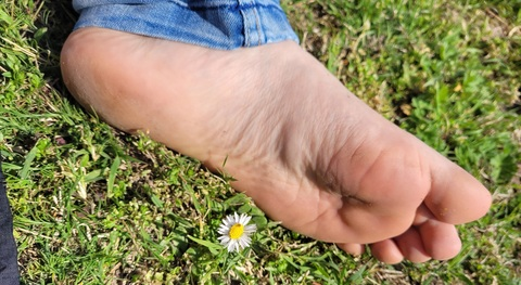 Alice @magicalice cover picture