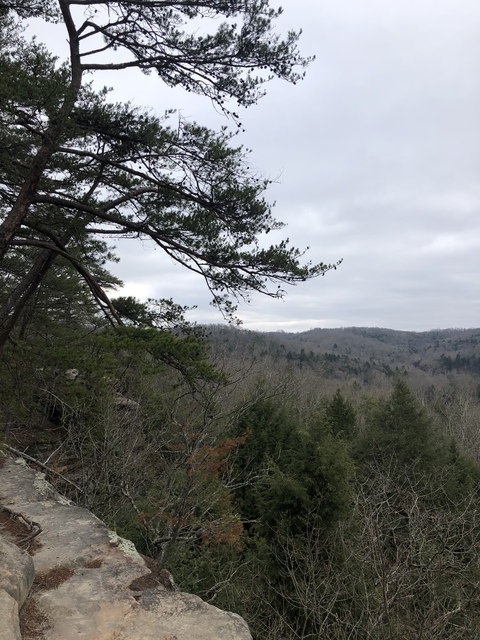 Mahi @mahi6867 cover picture