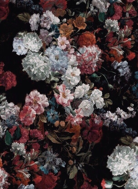 Maia @maiacross cover picture