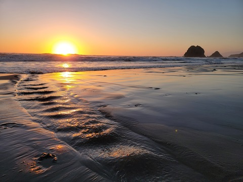 Honey brown @maiden-joy cover picture