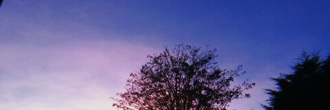 Maja @maja02 cover picture