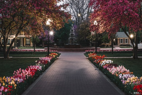 Sia @majestyy cover picture