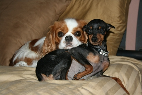 MakeMyDay755 @makemyday755 cover picture