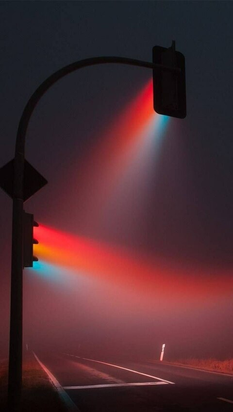 Mcevgeha @maks69 cover picture