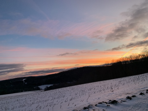 Dakota @mamamoore cover picture