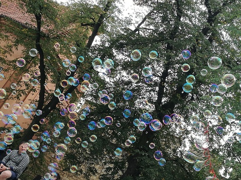 MANDALA @mandala cover picture