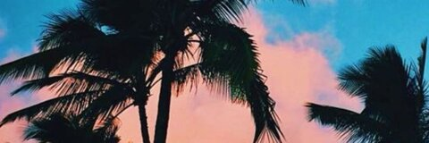 Mari @marimeza cover picture