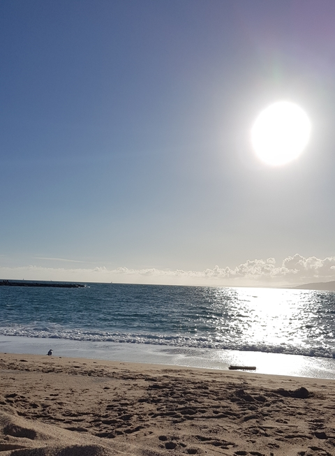 Marjo @marjo cover picture