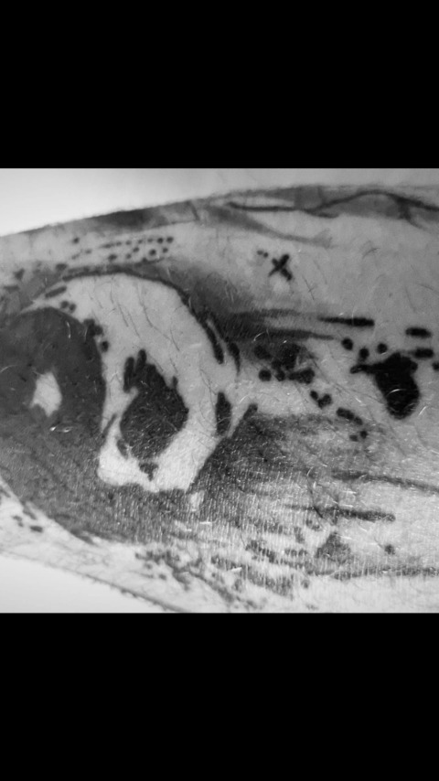 Marco @mark_iam cover picture