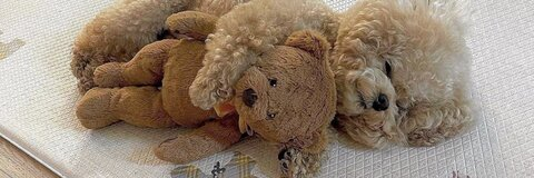 murbi999B @martinurb cover picture