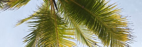 Marvin @marvinviquez cover picture