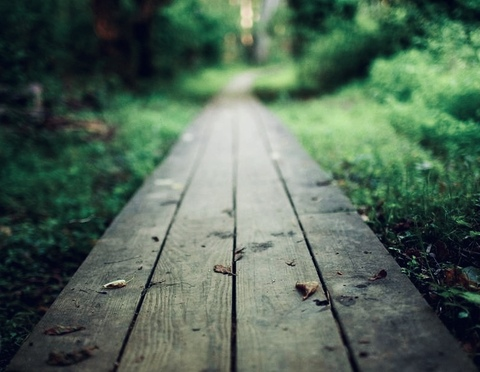 Matt @mat38 cover picture