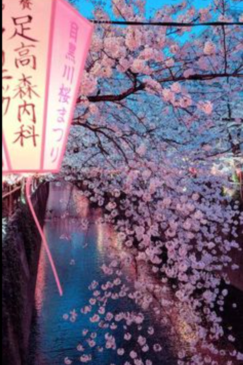 ♡honeydrip♡ @matcha_spice_ cover picture